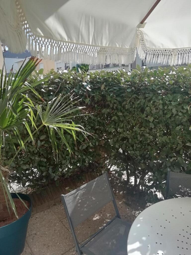 T3 Rez-de-chaussee Lumineux Avec Terrasse Proche * Cucq