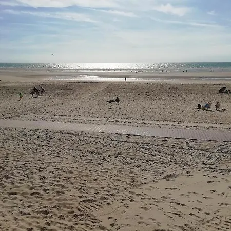 T3 Rez-De-Chaussee Lumineux Avec Terrasse Proche Plage Cucq Exterior photo